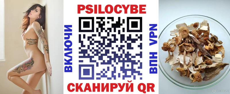 купить  сайты  Мензелинск  Псилоцибиновые грибы мухоморы 
